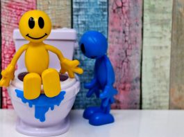 19 novembre 2020: è il World Toilet Day, la giornata mondiale del gabinetto!