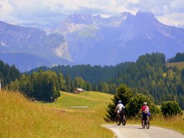 Bici elettrica pieghevole: come smontare o sostituire i pedali