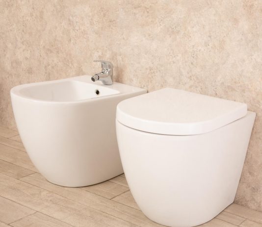 WC senza brida: tutto quello che devi sapere su questo modello
