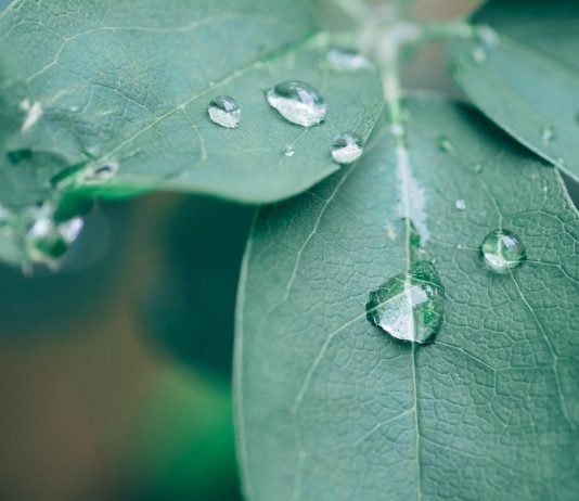 Minipiscina Modello Zen e Zen Eco: perché sceglierla per la tua casa e come sfruttarla al meglio