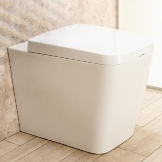 00000363 WC Filo Parete Minimal seduta e copri vaso di design L35xP56xA41cm